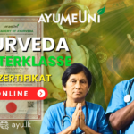 Ayurveda Master Kurs mit Zertifikat